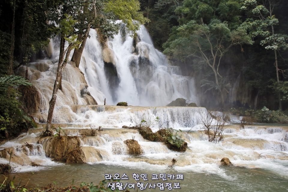 라오스 루앙프라방 야시장 풍경