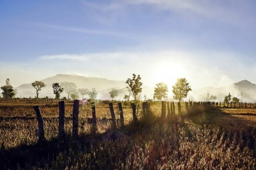 첫 번째 세상, 라오스 팍세 여행의 볼라벤 고원 커피 농장